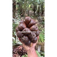Buah Salak Manis ( Grade A&B )  Salak Pondoh Manis Salak Banjarnegara