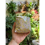 Seeds mixed with fruit spread when trekking, backpacking or going to the forest. Seed it Forward