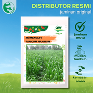 Benih Rumput MOMBACA F1 1200 Biji Premium Gemah Seed Panicum Maximum Pakan Ternak Kambing Sapi Domba