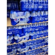CACTUS Mineral Water 250mlx24