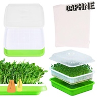 DAPHS  Sprouter Tray Gardening Supplies Hydroponic Tray Soilless Cultivation Plant Box