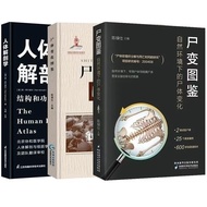 Good Things Recommended Corpse Illustrated Book Corpse Under Natural Environment Change Corpse Anato
