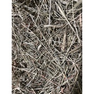 Hay - USA 1st cut. No brand. rabbit hay, bunny hay