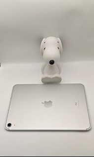 <<暑期專用>> iPad 10 64GB Sim Card 版 🔋100%