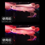 Nec Arowana Special Three Primary Color Blue Background Gold Arowana Fish Tank Light Diving Light Red Dragon Magic Light/Fish Tank Lamp Dragon Fish Lamp