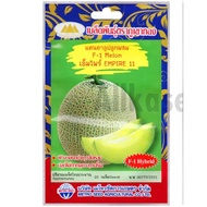 Hybrid Cantaloupe Seeds Empire Phu Khao Thong