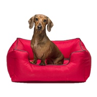 KONG Lounger Sofa Bed (Red) (Small)