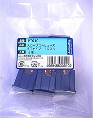 PT910 3206 (SBFC-BT) Slow Blow Fuse, 100A, 5pcs PT910