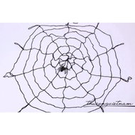HLW Spider Web