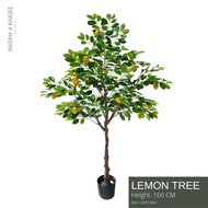 Lemon Tree - Height 160 cm ต้นเลม่อน ความสูง 160 ซม.ต้นไม้ปลอมเกรดพรีเมี่ยมเพื่อการตกแต่ง ต้นไม้ประด