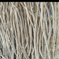 Teak wood twigs - 150 cm iguana cage perch - macrame twigs