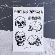 透明圖鑑貼紙-人體骨骼系列