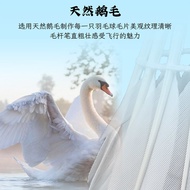 [Good Comment476.8Ten Thousand+Strip]Kawasaki Kawasaki Aurora Badnton Professional Competition Train