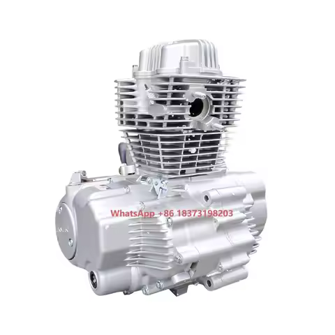 Zongshen CG200D-B 200cc Motorcycle Engine With Balance Shaft 5 Gears ZS167FML-3 Zongshen Engine Comp