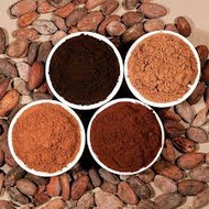 BLACK COCOA POWDER | BROWN COCOA POWDER