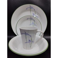 Corelle Shadow Iris Green Rimmed