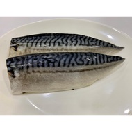 Saba Mackerel Fish Whole Piece 1KG