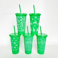 Green Christmas Straw Cup Single Layer 710ml Plastic Water Cup Set 710ml Christmas Gift