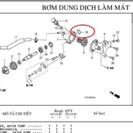 SH ITALY WATER PUMP BELL SIM - GENUINE HONDA ZIN PRODUCT - 91301KV7671