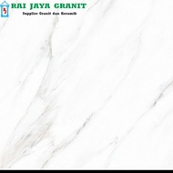 Granit Lantai Kasar/Matt 60x60 Cloud White