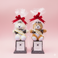 Ready Boneka piala Wisuda murah - trophy wisuda piala graduation - trophy graduation hadiah kado