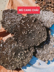 Tổ ong vò vẽ rừng dùng làm dược liệu