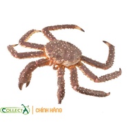 CollectA 88851 - King Crab