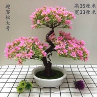 Bunga Tiruan Mengalu-Alukan Pain Wufu Linmen Tumbuhan Bonsai Pasu Bunga Palsu Plastik Bunga Rumah Hi