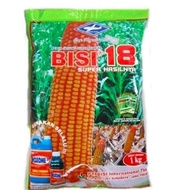 Termurah Benih jagung hibrida Bisi 18 isi 1kg jagung bisi18