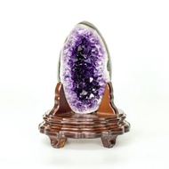 ESP 烏拉圭恐龍蛋 140850