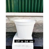 Harga Per Lusin. Pot Bunga Plastik Putih Diameter 17 Cm. Pot Bunga