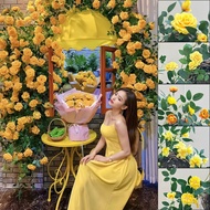 Floral Vines Vines Soft Packing Pipe Wall Hanging Simulation Green Leaves Decoration Air Conditionin