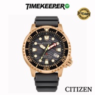 Citizen Promaster Dive Eco-Drive Watch BN0163-00H