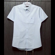 絕版BURBERRY 博柏利 BLACK LABEL 黑標 戰馬 男銀白藍條紋短袖襯衫L