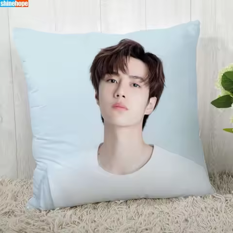 Pillow Cover Customize YiBo Wang Pillowcase Modern Home Decorative Pillow Case 45X45cm
