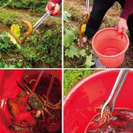 Crab Clamp, Rice Field Eel Scissors