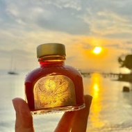 英國寄出 英國Diamine 香港限定墨水 Enkindle