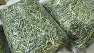 Australia Super Premium Timothy First Cut 1kg Small Pet Food - Fresh Green Hay - Ideal for Rabbits a