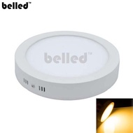LED downlight 12 inch 24 watt Surface Panel Downlight Ceiling Lamp (WarmWhite) - Round
