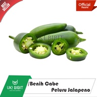 ( 10 Butir ) Benih Biji Cabe Jalapeno | Cabe Peluru | Pepper Early Jalapeno