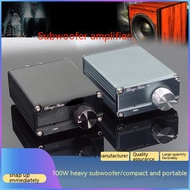 BRZHIFI B3 100W HIFI Professional Subwoofer Mono Full Frequency Power Amplifier High Power