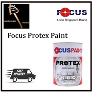 Focus Protex Paint