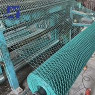 Tsina · Direct Factory Pvc Coated Hexagonal Wire Mesh Green Plastic Chicken Wire Mesh