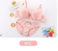 LSLY Bra Set with panty Good Quality Women 38C 40C 42C Cup Bra Wired Fat Hidden Comfortable Thin Cup