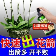【樂樂屋】【花肥】蝴蝶蘭營養液 【爆芽快】快速促花劍拯救黃葉根腐免稀釋營養液 肥料