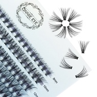 60/100 Bundles Eyelash Extensions  Individual Cluster Lashes Bunches Premade Russian Volume Fans 20/