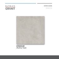 Keramik Lantai Abu Abu Roman/Granit Roman 60x60/Granit Lantai Abu Abu