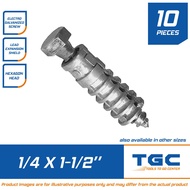 10 PCS 1/4 x 1 1/2 inches Lag Screw with Expansion Shield Galvanized TGC Lagscrew with Shield Expansion Anchor Bolt for Concrete Hollow Wall Anchor 4 mm