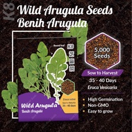 [1g] K8 Benih Salad Rocket Wild Arugula Soon Huat Seeds