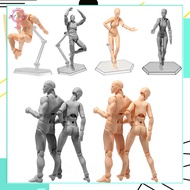 2.0 Body Kun Doll PVC Body-Chan DX Set Action Figure Model For SHF